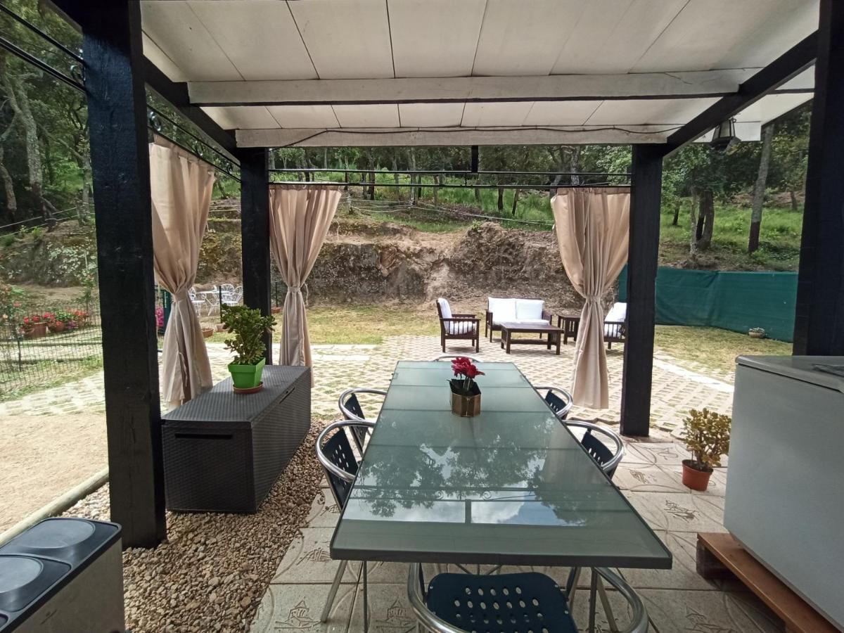 En Entorno Natural De La Costa Brava Holiday home Bell-Lloc (Girona)