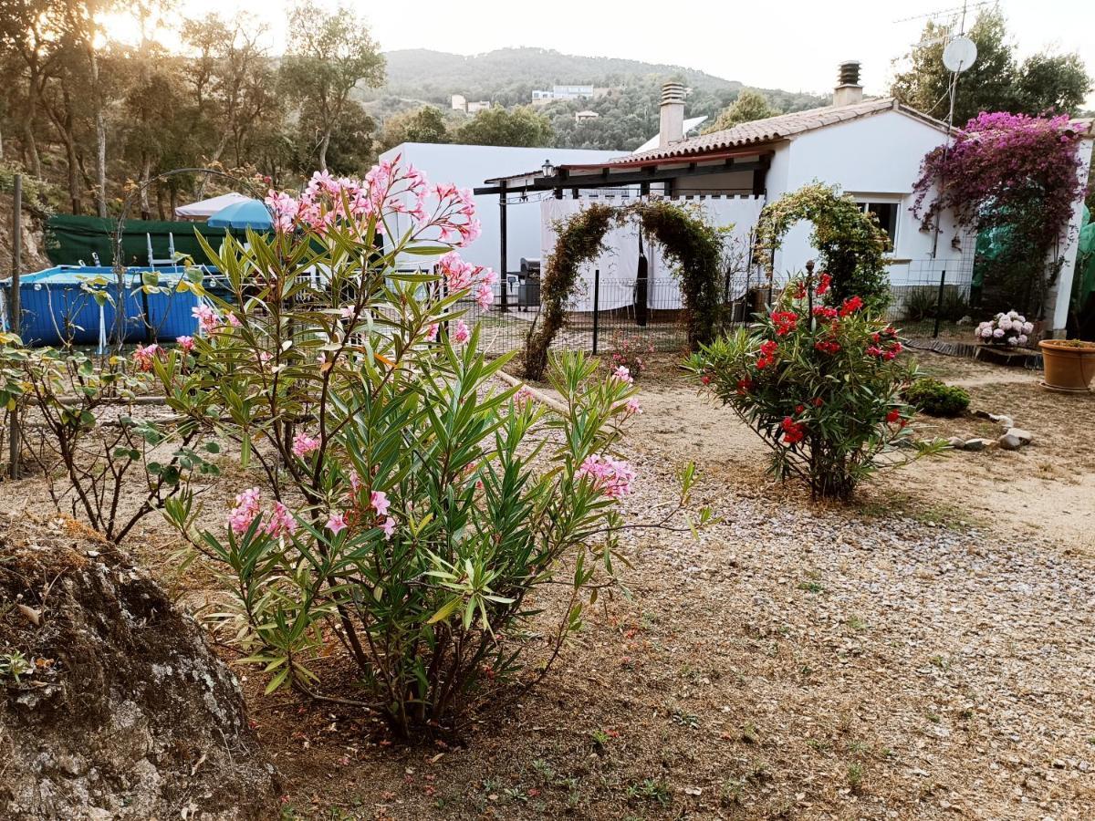Holiday home En Entorno Natural De La Costa Brava *
